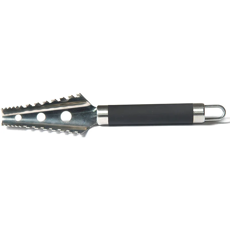 Biradlı EF-97 Plastik Saplı Çelik Balık Pulu Temizleyici