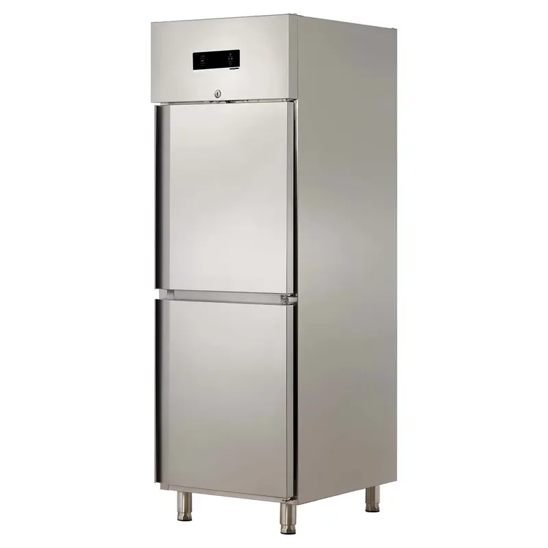 Öztiryakiler GN 600.10 LMV Model Yarım 2 Inox Kapılı Dik Tip Derin Dondurucu