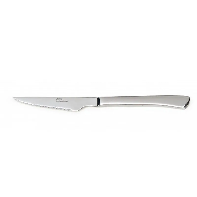Zicco ZB-01 Çelik Saplı Steak Bıçağı, 22 cm